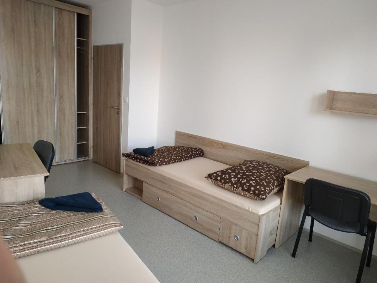 Ubytovaci Zarizeni Koleje Pedagog Ceske Budejovice Exterior photo